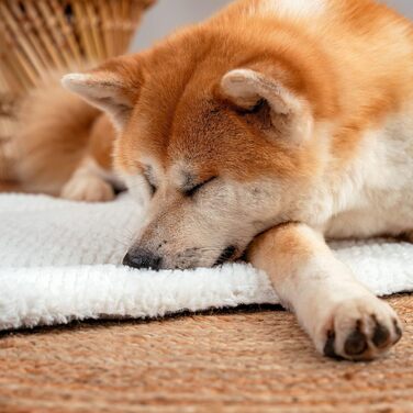 Килимок-підстилка для собак та котів Lionto, теплий, з підкладкою, 75x55 см, сірий. Миючий, з м'якою та зносостійкою стороною, для захисту від холоду.