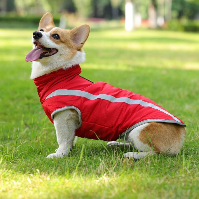 Водонепроникний зимовий теплий одяг для собак FeimaX: тепла куртка з флісовою підкладкою для маленьких, середніх та великих собак, червона, XL