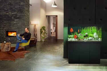 Акваріум Juwel Rio 350 LED, світле дерево, 350 л