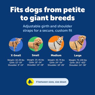 Шлейка для собак PetSafe 3в1, регульована, протитягальна, чорна, середній розмір (упаковка з 1 шт.)