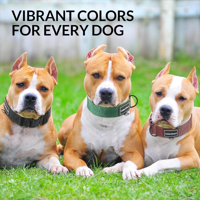 Міцний нашийник для собак великих та середніх порід – регульований, двошаровий нейлон, металева застібка, стійкий до розривів, ідеальний для активних собак (розмір L (38-58 см))