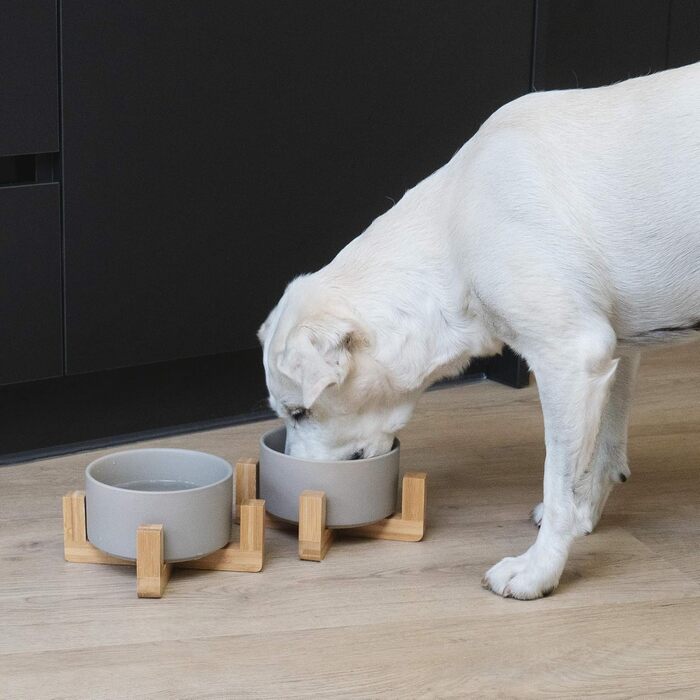 Набір мисок для котів та собак Navaris (2 шт) - серія Babus, сірий