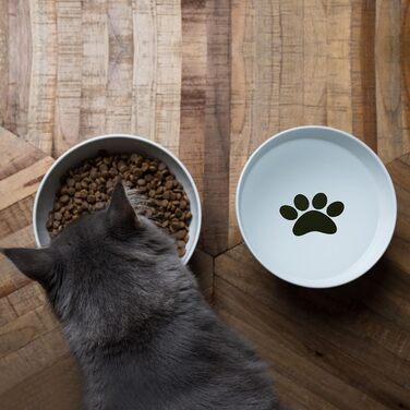 Підвищений годівниця для котів XIKAYA, нахилений на 15°, подвійний, зменшує навантаження на шийні хребти, запобігає розливанню, для котів та кошечок