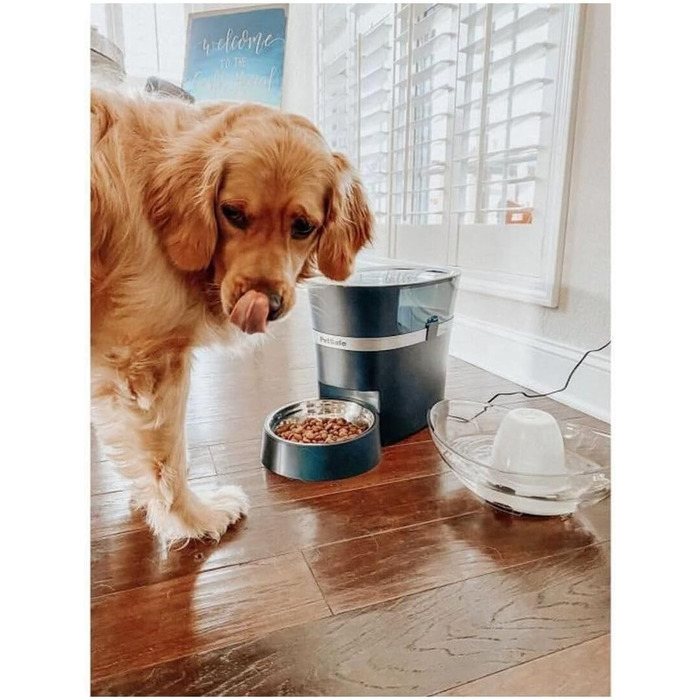 Автоматична годівниця PetSafe Smart Feed для сухого корму, з керуванням через смартфон, 1,5 л, чорна/сіра