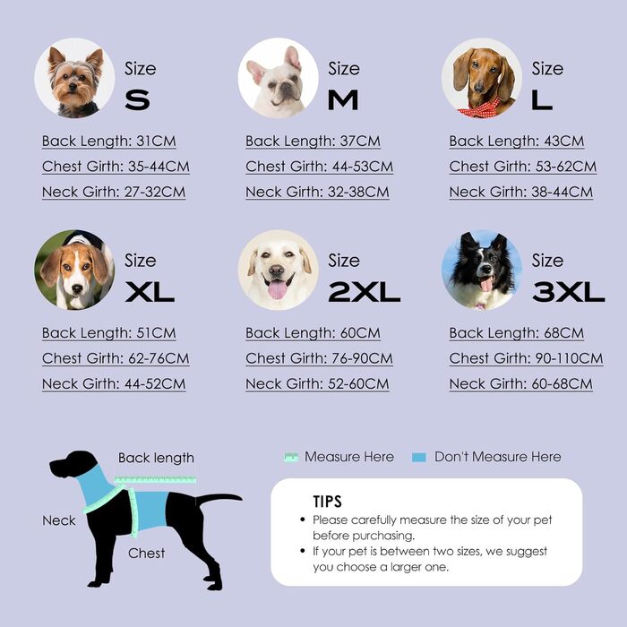 Зимовий одяг для собак ASENKU: теплий, водонепроникний, вітрозахисний, з світловідбиваючими елементами. Підходить для малих, середніх та великих собак. Кольори: зелений (S), синій (S).