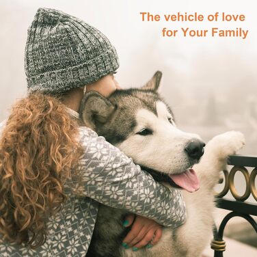 Двостороння щітка для собак та котів з щетиною кабана та пензлем, для догляду за шерстю, підходить для короткошерстих порід, з дерев'яною ручкою з гумовим покриттям