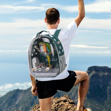 Рюкзак для птахів PETCUTE з дерев'яною жердкою: переноска, транспортна сумка для папуг, зелений