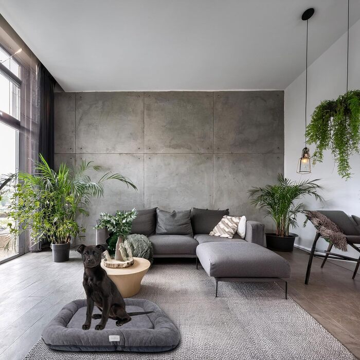 Водонепроникне лежанка для собак, лежанка-матрац з Codura | Для маленьких собак | Сірий колір, розмір L (95 x 75 см)