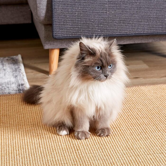 Килимок для котів з сизалю 60x80 см - міцний, натуральний, бежевий