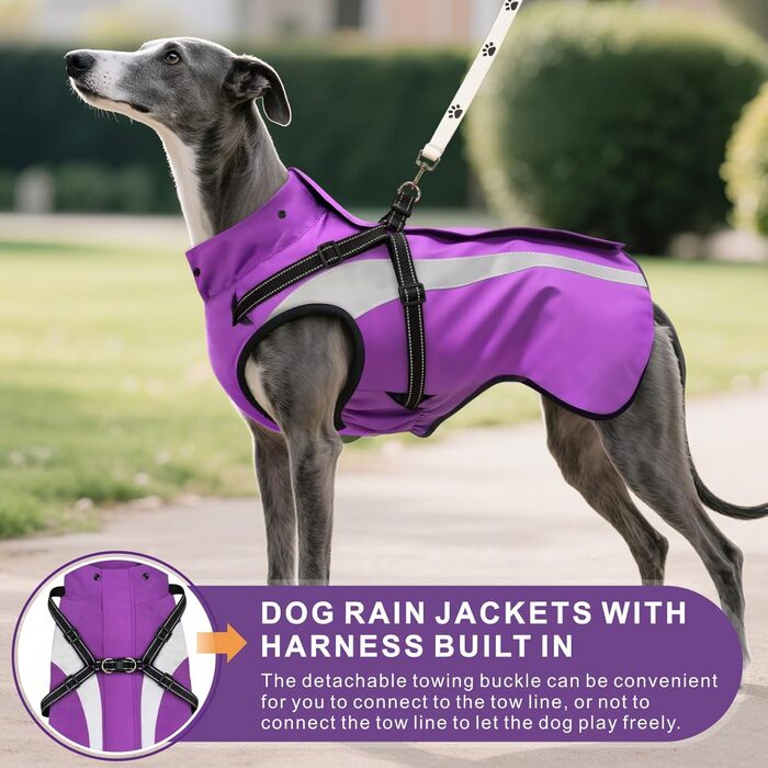 Водонепроникний дощовик для собак Oslueidy – дощовик для собак з капюшоном, S-XXL (Lila)