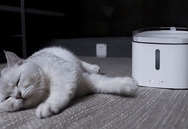 Фонтан-пийло для тварин Xiaomi, пластик, 2000 мл