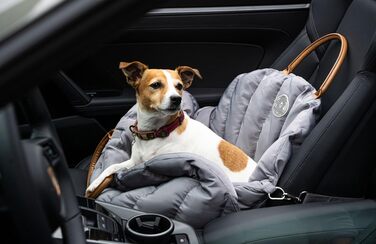 Сучасна переноска для собак Flying Dog Baily 3-в-1: сумка, автокрісло та переноска для маленьких собак до 10 кг (сіра)