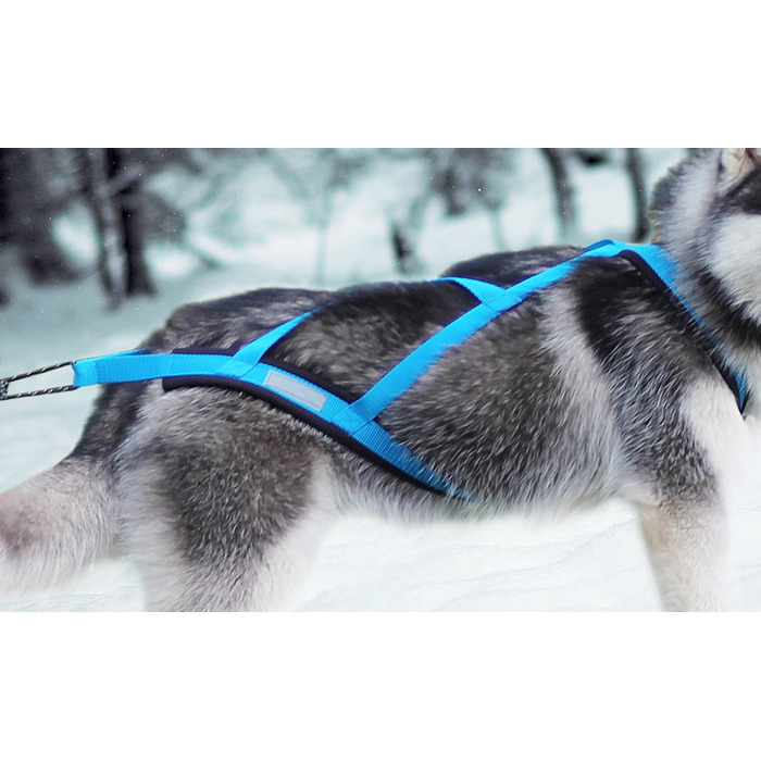 Шлея Northern Howl X-Back для байкджорингу, скіджорингу, канікросу, скутерінгу, їзди на санях для собак, синя, розмір S