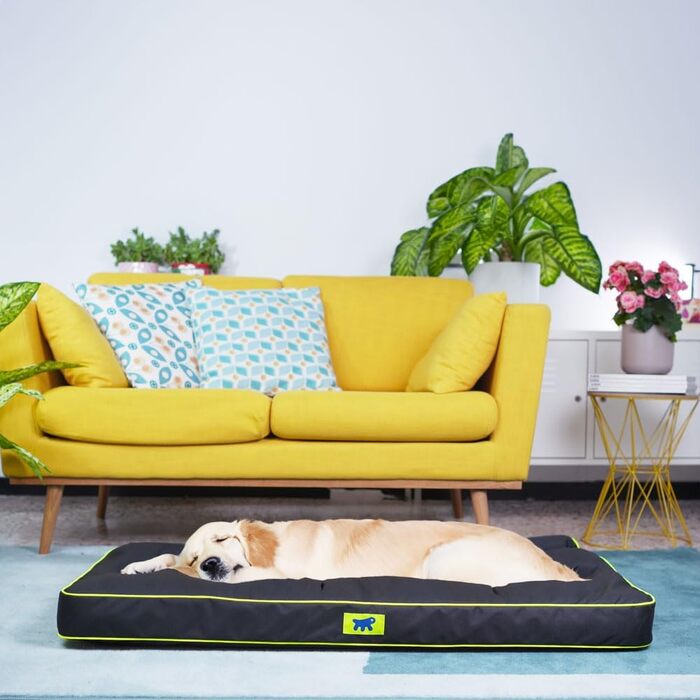 Ортопедичний лежак для собак Ferplast Polo XL - чорний, 110 x 70 x 8 см - лежак для собак, миючий, знімний наповнювач