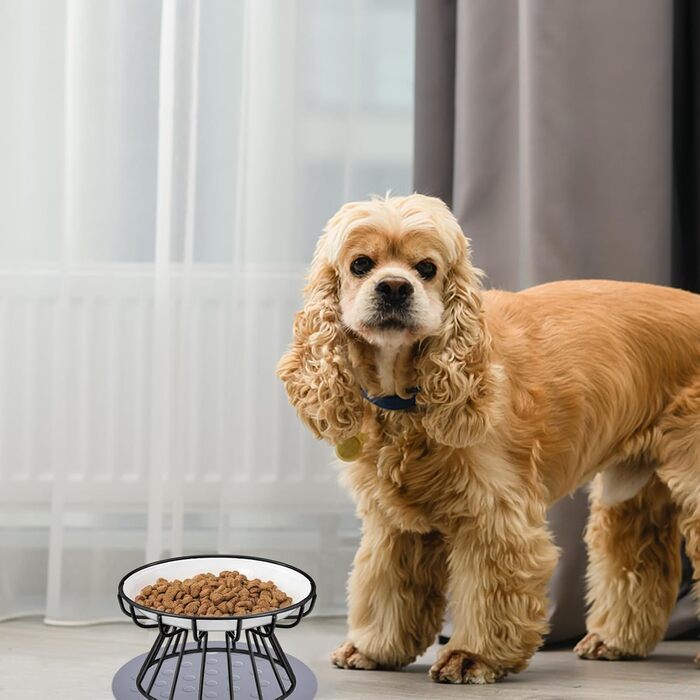 Підвищені годівниці для котів Surmounty (2 шт.) з підставки з силікону, металевий стійкий каркас, миски для корму та води