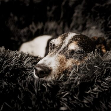 District 70 Fuzz - Піжама чоловіча - Sand (XL, Темно-сірий)