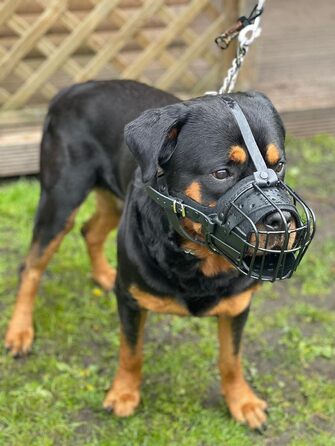 Металевий намордник L&J Pets для американських бульдогів та великих собак, регульований, безпечний, сріблясто-чорний