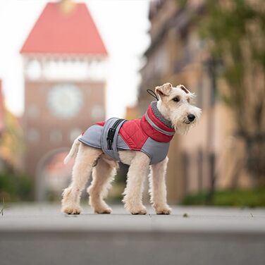 Водонепроникний жилет для собак, теплий, з високим коміром, зелений (L, червоний)