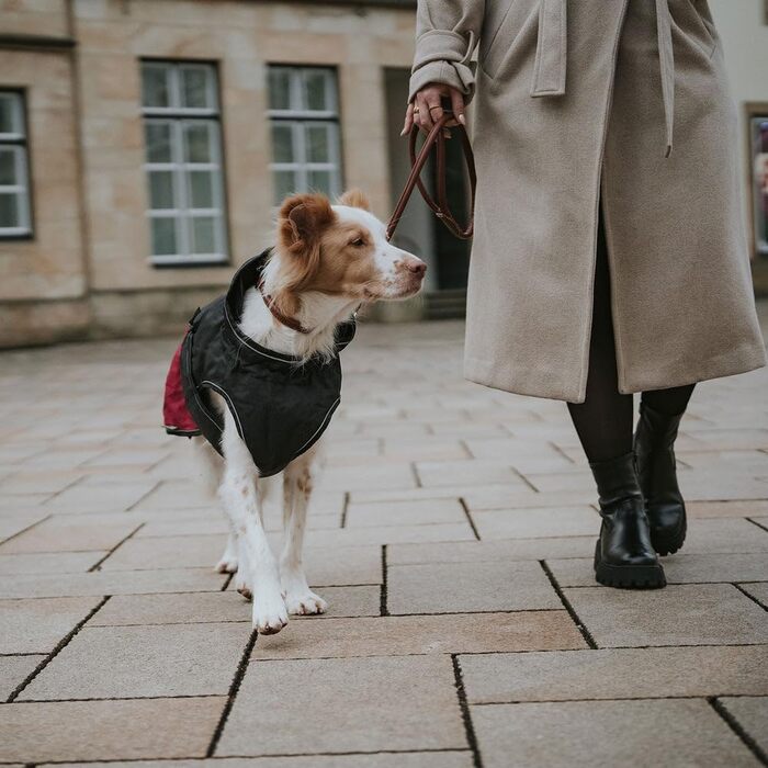 Собачий комбінезон HUNTER UPPSALA COZY, антрацит/червоний, водо- та вітрозахисний, утеплений, з відбивачами, комфортний, машинне прання 30°C, для холодної погоди, розмір 35