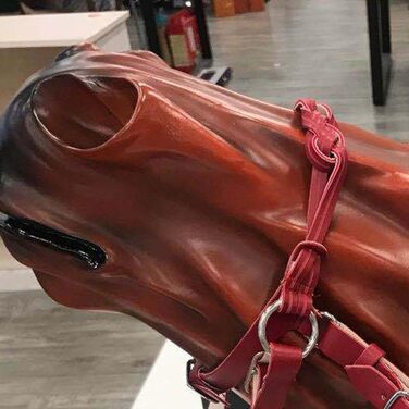 Зауваження для коня регульоване, спорядження для коня, вуздечка, аксесуари для їзди верхи, вуздечка для коня, аксесуари для сідла (Червоний, 10 см)