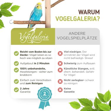 Vogelgaleria кімнатне дерево для птахів з натуральним деревом, іграшками та гойдалкою | Ігровий майданчик і сидіння для хвилястих папуг, корелл та інших домашніх птахів