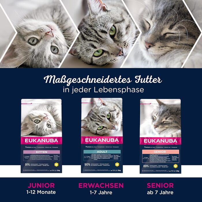 Сухий корм для літніх котів Eukanuba Senior, 10 кг