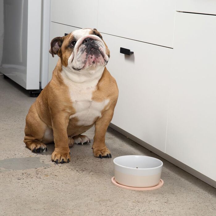 Silikonova Maty dlya Sobak Waggo Habit - 2 шт. (Маленька, Біла) - Для малих, середніх та великих порід. Легко миються в посудомийній машині.