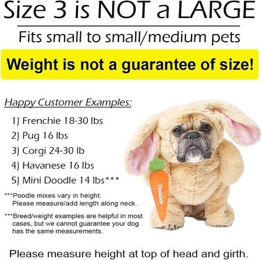 Костюм на Хелловін для собак та котів, Коала, розмір 4 (50,8–58,4 см висота, обхват < 68,6 см)