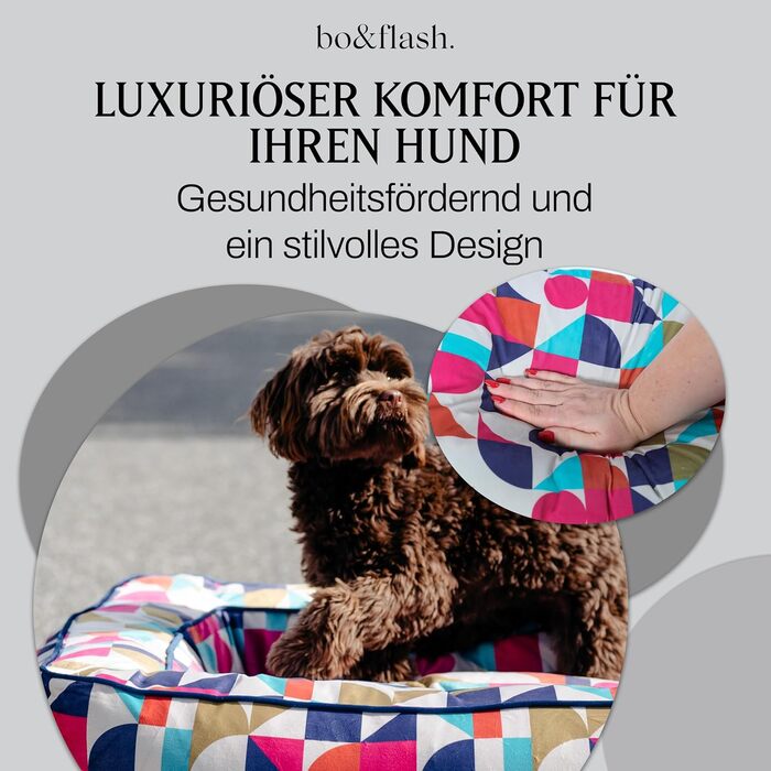 Зручне ліжко для собак Boise 'Roy' - диван-ліжко для собак маленьких та великих порід - стильне, миється, з антиковзким покриттям - Roy (M, Michaela)