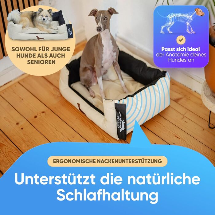 Крісло-ліжко для собак: міцне та зручне, для великих та маленьких собак, цуценят та літніх тварин. Крісло-ліжко для собак, корзина для собак, різних кольорів (S, пісочний)