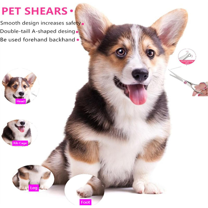 Набір для грумінгу собак: ножиці для шерсті, ножиці для фінальної обробки, гребінець, нержавіюча сталь