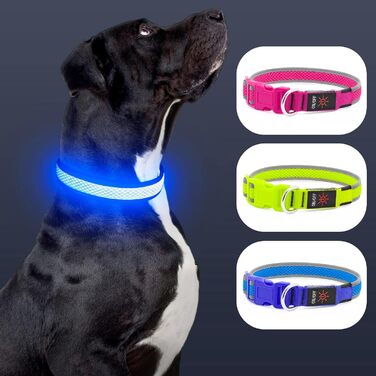 Світлодіодний нашийник для собак Bpawser, заряджається через USB, світиться, для середніх і великих собак, синій, M, для безпеки вночі