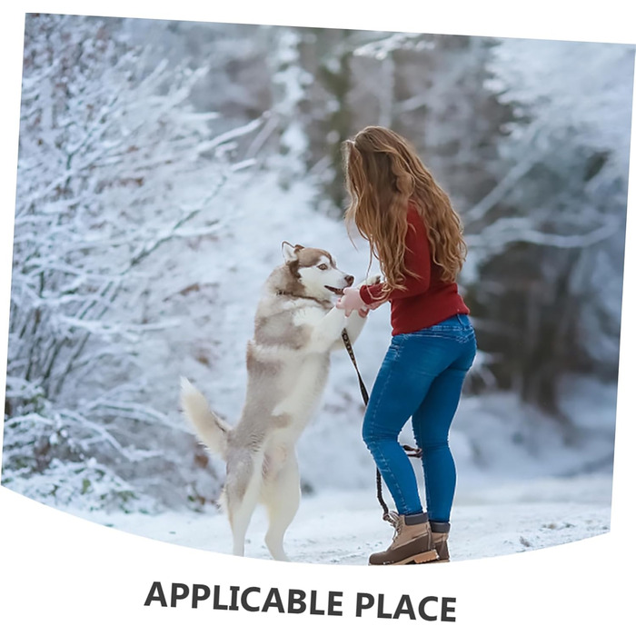 Водонепроникний дощовик для собак BESPORTBLE - надійний захист від дощу та вітру. Регульований дощовик для собак, підходить для прогулянок восени та в дощову погоду.