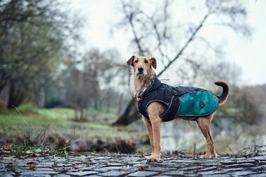HUNTER Hundemantel Uppsala Allrounder: водонепроникний, вітрозахисний, знімний підклад, розмір 35, антрацит/петроль