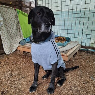 Теплий пуловер/куртка для собак, чорний, розмір 8XL