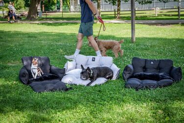 Автокрісло для собак JACKO & CO V2 Premium – підходить для малих та середніх тварин до 18 кг, з підстібкою та поводом, чорного кольору