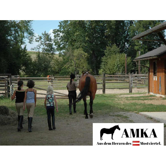 AMKA Рейтпад без сідла з замші для верхової їзди, комфорт, розмір Вармблут, для дорослих, рожевий