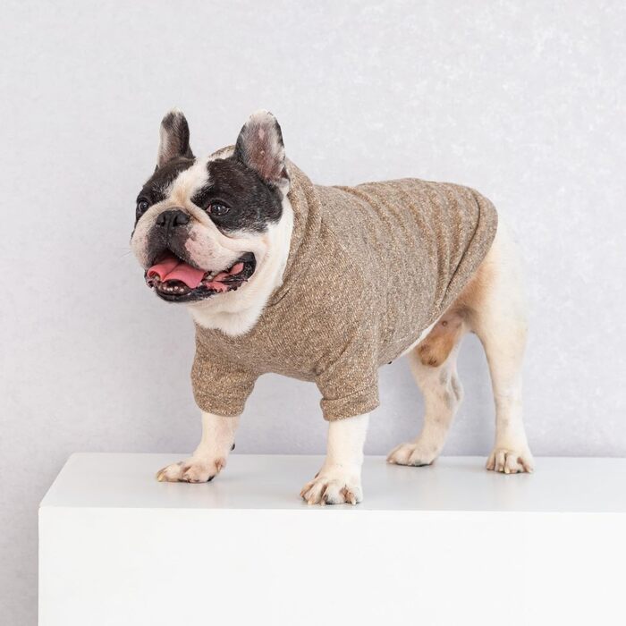 Світшот для собак Fitwarm, зимовий одяг для маленьких собак, хлопчиків та дівчаток, легкий, кашемір Хакі, розмір XXL