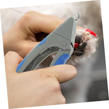 Інструмент для стрижки кігтів домашніх тварин Angoily - набір з 3 шт. з нержавіючої сталі, безпечний для котів та собак