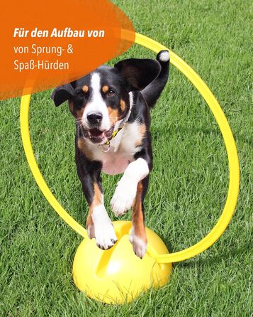 Набір для аджиліті SPORTIKEL24 Superhund: Пружина, перешкоди та кільця для собак - ідеально для аджиліті-спорту
