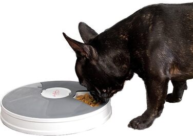 Автоматичний годівниця для котів та собак Infactory Fressnapf з таймером, LCD-дисплеєм (6 відділень)