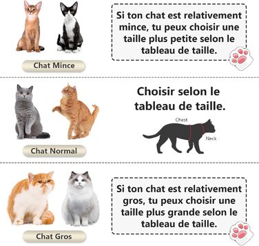 Нашийник для котів Qianruida з повідком, регульований, зручний, дихаючий, світловідбиваючий (Помаранчевий, XS)