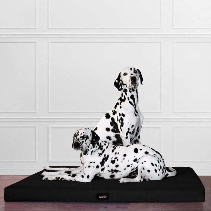 Ортопедичний лежак для собак Tierlando Alice з міцного поліестеру 600D, віскоеластичний матрац з неслизьким дном, розмір 80x60 см, колір чорний