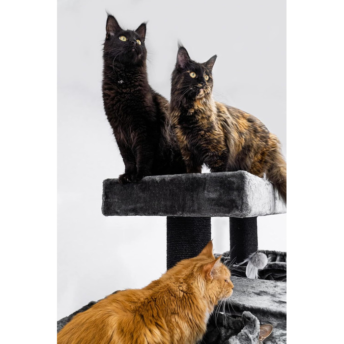 Дерев'яний кігтеточка для великих котів Petrebels Maine Coon XXL Lookout 198, надміцний, стовпи 15 см Ø, 100x60x198 см, чорний