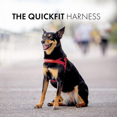 Швидко регульована шлейка для собак EzyDog Quick Fit, розмір M, червона
