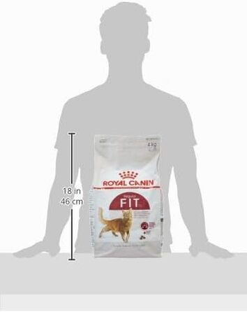 Корм для котів Royal Canin Feline Fit 32, сухий, для підтримки форми, 4 кг