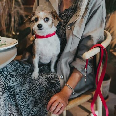 Нашийник для собак HUNTER Convenience, пластик, 55 см, M-L, колір: малиновий