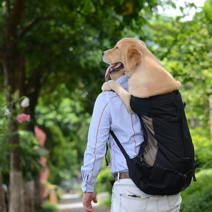 Чорна переноска для собак XL: зручна та легка переноска-рюкзак для собак вагою 1-25 кг, з вентиляцією та отвором для голови, ідеальна для прогулянок та безпеки