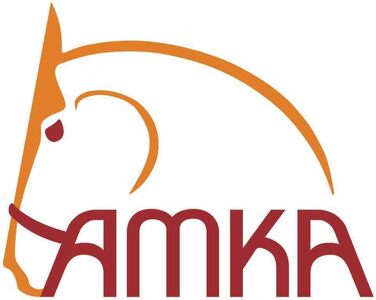 AMKA Рейтпад для верхової їзди з замші, комфорт, розмір Warmblut, для дорослих