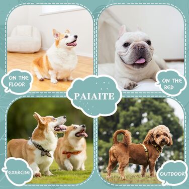 Теплий та функціональний пуловер для собак, для цуценят, бежевий, для Чихуахуа та Йоркширських тер'єрів, розмір XX-Large